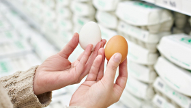 Россия частично разрешила поставки яиц и птицы из трёх стран ЕС